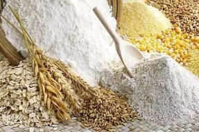 素食养生带给我们什么启示？素食者会营养不够吗？